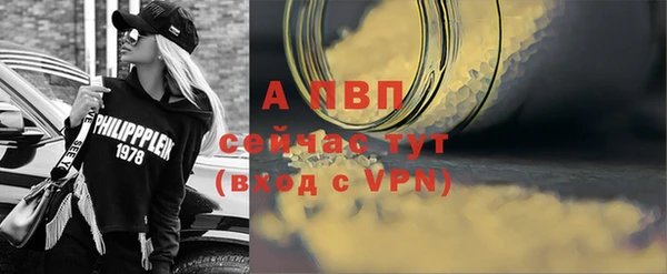 индика Бородино