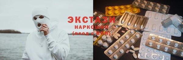 индика Бородино