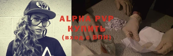 индика Бородино