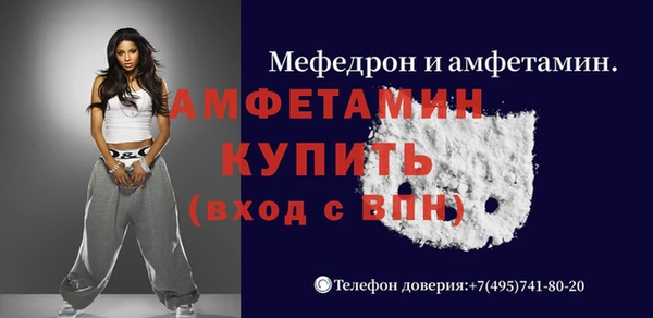 индика Бородино