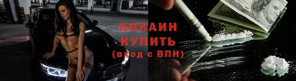 индика Бородино