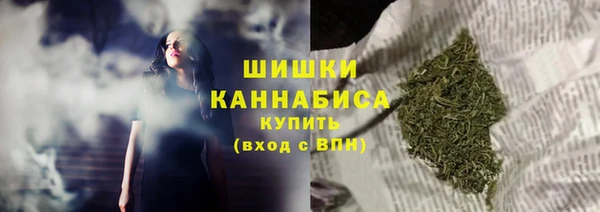 индика Бородино
