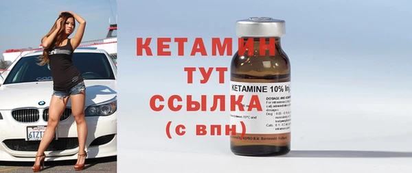 индика Бородино