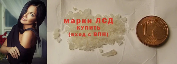 индика Бородино