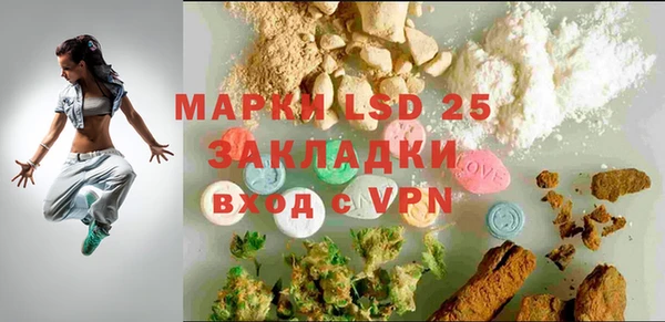 индика Бородино