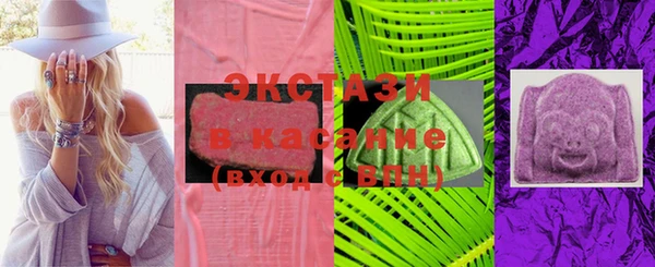 индика Бородино