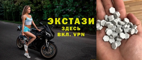 индика Бородино