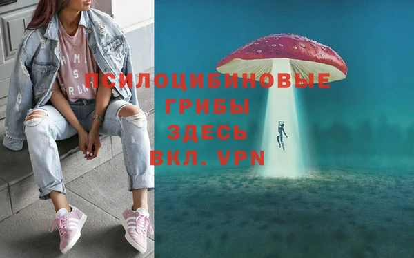 тгк Бугульма
