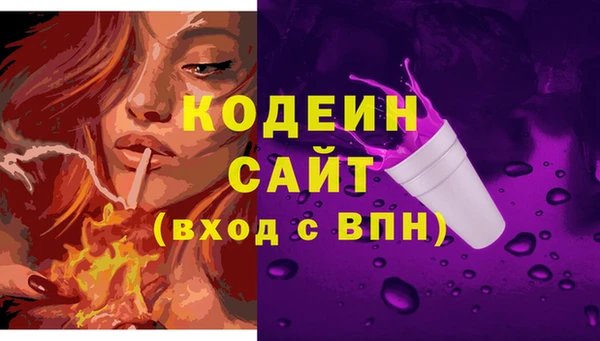 индика Бородино