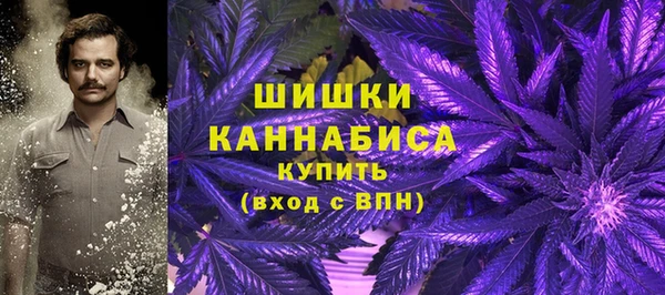 индика Бородино