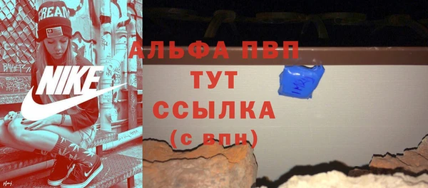 индика Бородино