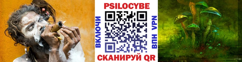 купить   маркетплейс какой сайт  Галлюциногенные грибы Magic Shrooms  Орехово-Зуево 